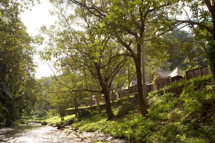River view